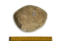 F 07342
<br/>
<br/>
<em></em>